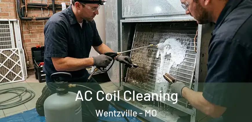  AC Coil Cleaning Wentzville - MO