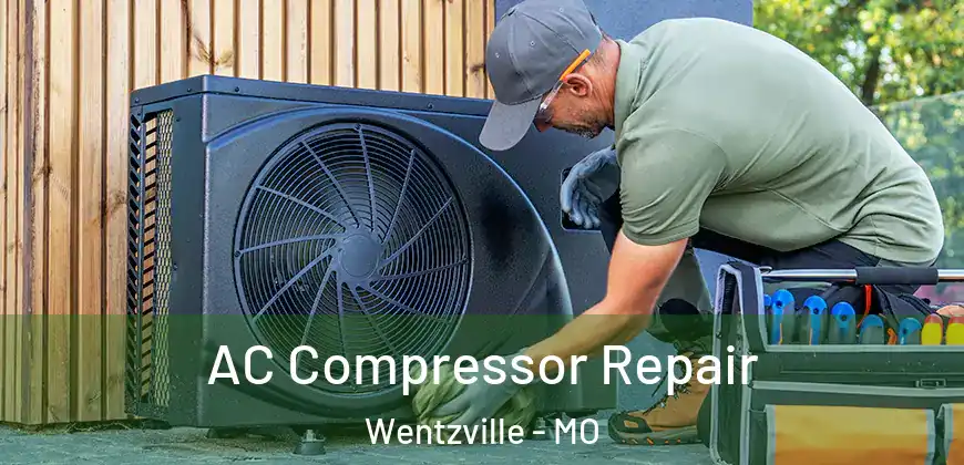  AC Compressor Repair Wentzville - MO
