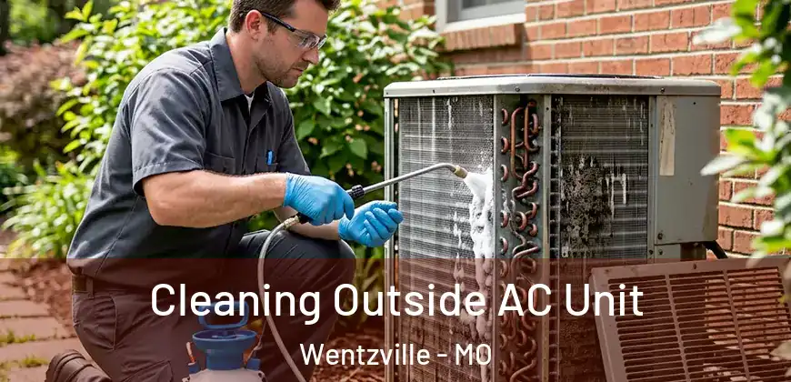  Cleaning Outside AC Unit Wentzville - MO