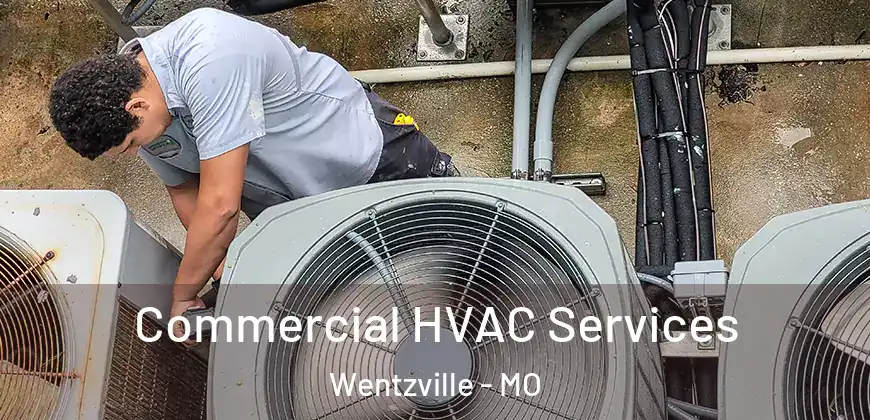 Commercial HVAC Services Wentzville - MO