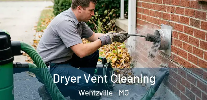  Dryer Vent Cleaning Wentzville - MO