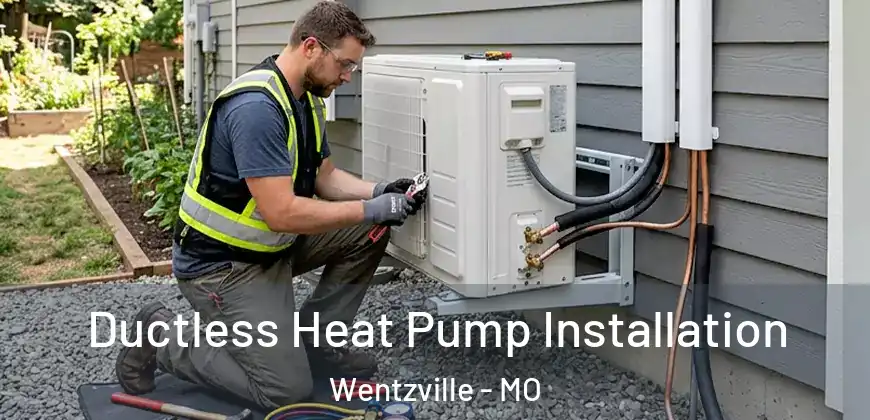  Ductless Heat Pump Installation Wentzville - MO