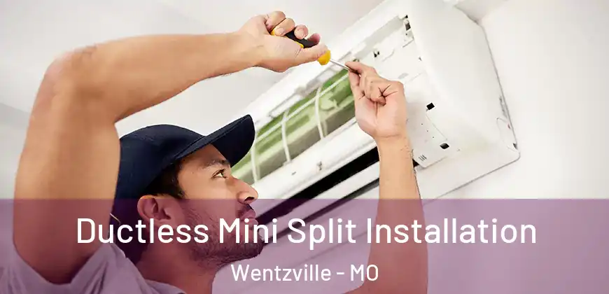 Ductless Mini Split Installation Wentzville - MO