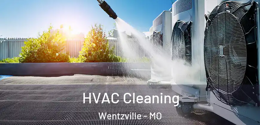  HVAC Cleaning Wentzville - MO